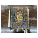 Vintage Pictorial Bible