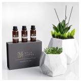 Faux Succulent Diffuser, Faux Plant With Ceramic M