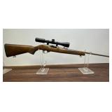 Ruger 10-22 22LR