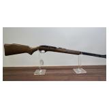 Glenfield Model 60 22 RF