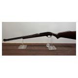 Glenfield Model 60  22LR