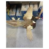 Stuffed Pheasant on Stand