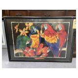 Framed Pic of Parrot 38"x26"
