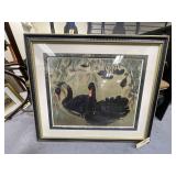 Framed Pic of Black Swan 31"x36"