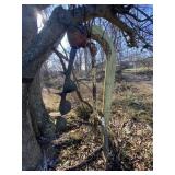 3-Point Post Hole Digger w/12" Auger