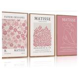3 Pack Framed Pink/White Matisse Wall Art - 24x36"