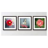 3 Pack Black Finish Wood Frame - Approx. 19x19"