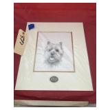 Matted Puppy Pic 38/850 Leighton