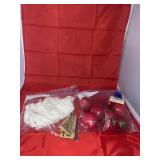 Faux Apples - Doilies - Clothes Pins