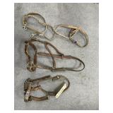 2 - Halters & Leather Reins