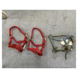 3 Pcs - Llama Halter