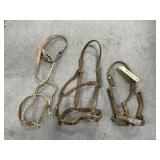2 - Halters & Leather Reins