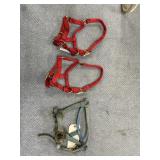 3 Pcs - Llama Halter