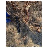 3-Point Post Hole Digger w/10" Auger