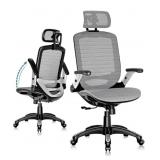 Gabrylly Ergonomic Office Chair, High Back, Mesh,