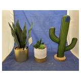 3 Pcs - Succulent Dï¿½cor