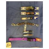 7 - Nylon Dog Collars