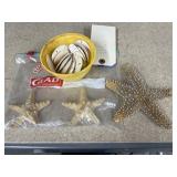 Tiny Sand Dollars - Star Fish