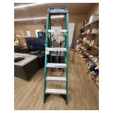Werner Fiberglass Ladder 6ft