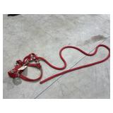 Horse Halter & Lead