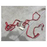 Horse Head Stall & Bit