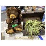 2 Pcs - Teddy Bear w/Decorative Chest & Plant