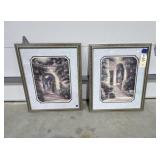 2 Pcs - Wall Dï¿½cor Pics 28"x23"