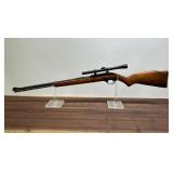 Marlin Model 60 22 LR