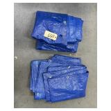 2 - Blue Tarps - Sz Unk