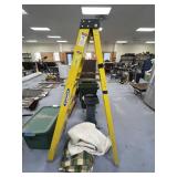 Werner 6ft Stepladder
