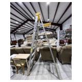 Werner Aluminum Step Ladder 8ft