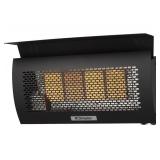 Dimplex Outdoor Wall-Mounted Natural Gas Infrared