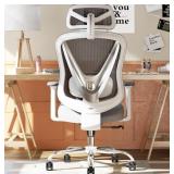 Ergonomic Mesh Office Chair, 3D Adjustable Lumbar