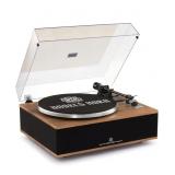 Angels Horn Vinyl Record Player, Bluetooth, Turnta