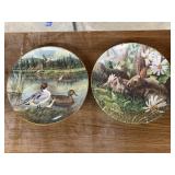 2 decorative plates Ducks & Rabbits