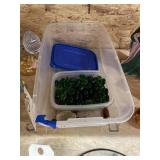 Box of green glass beads