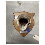 Fish Head Caught In Spavinaw Lake