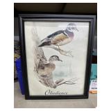 Framed Duck Pic