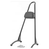 DaSen 23" Tall Sissy Bar, Polished Chrome, Black