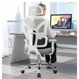 Ergonomic Office Desk Chair, High Back Mesh Office