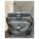 Insulated Cooler Tote