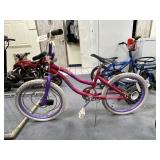 Dyna Craft Girls Bicycle
