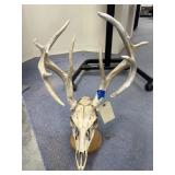Deer Mount
