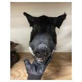 Boar Head