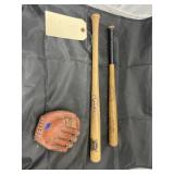 Mini Ball Bats & Ceramic Mitt