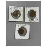 3 Lincoln Wheat Pennies 1919 D,S &P