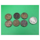 6 Wheat Pennies, 1 Buffalo Nickel