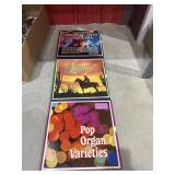 3 Pcs - Vinyl Album Reader