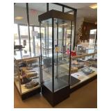 Lighted Glass Display Cabinet