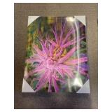 2 Pcs -3D Wall Art Pics